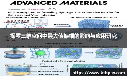 探索三维空间中最大值振幅的影响与应用研究